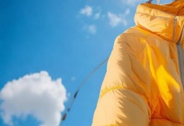 夏普洗衣机客服热线服务详述㊤羽绒服清洗攻略：洗衣机洗羽绒服专用洗衣液推荐