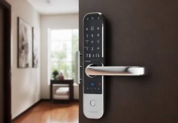 指纹锁选购指南：如何挑选合适的安全门锁？