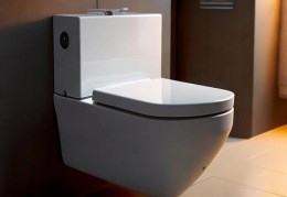 壁龛智能马桶：高墙低墙选择指南