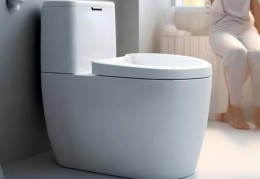松下智能马桶：止回阀功能守护家居用水安全