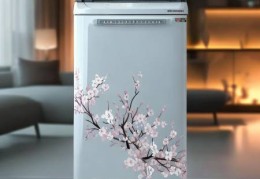 燃气热水器樱花系列：家用热水新选择