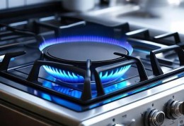 华润燃气灶1003：家用燃气灶安全与效率的完美结合