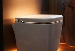 福建U型智能马桶盖：打造舒适如厕体验新选择