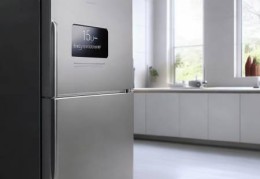 伊莱克斯冰箱eqe6307sa：高品质生活必备家电