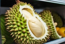 榴莲放进冰箱能保存几天？揭秘保鲜技巧