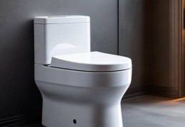 智能马桶性价比排行：盘点几款值得购买的品牌