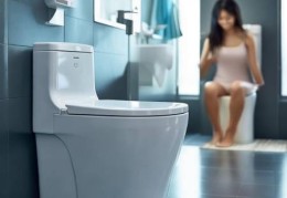 东鹏智能马桶水量调节：舒适如厕新体验