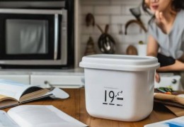 米饭19度是否需要放入冰箱保存？