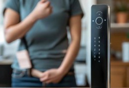 智能锁更换，锁芯还是整体？揭秘换锁真相